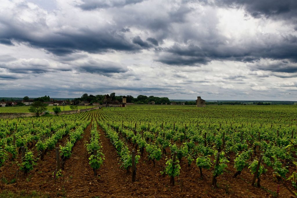Week-end en Côte-d'Or : Dijon, vignobles et Beaune